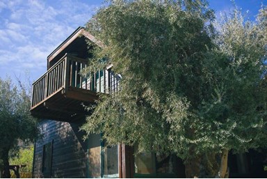 וילה העיגול הפנימי ראש פינה - החצר והבריכה