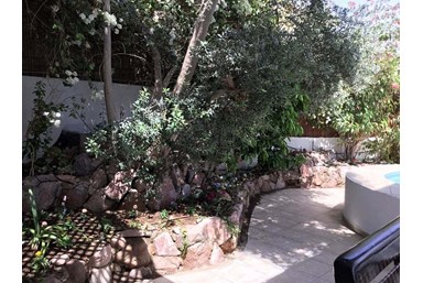 וילה נצר - הבריכה והחצר