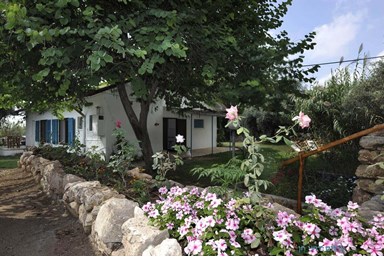 וילה ורה Villa Vera - וילה יוקרתית במושב