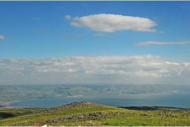 וילה סטייל - החצר והבריכה