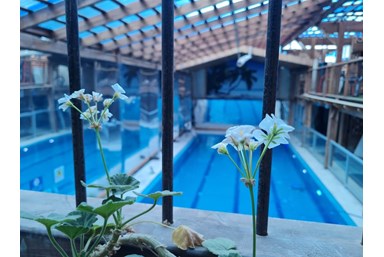 וילה בת הסולטן - אודות המקום