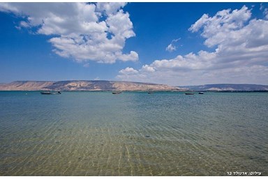 וילה פנינה בכנרת - מתחם הבריכה והחצר