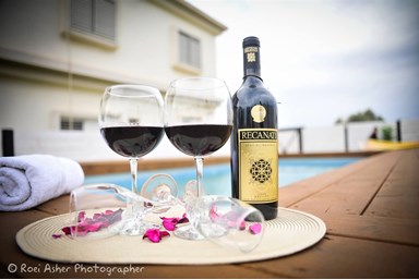 וילה גיתית - החצר והבריכה