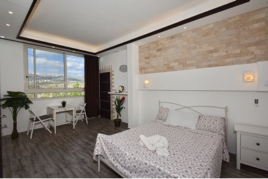 וילה תולין - הוילה