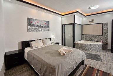 וילה תולין - הוילה