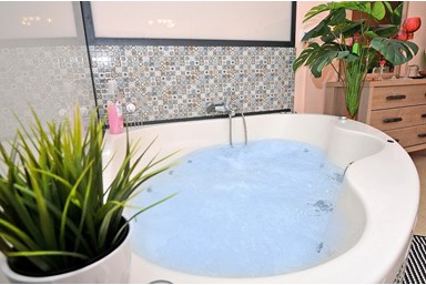 וילה תולין - הוילה