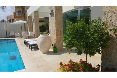 וילה איטליה - החצר והסביבה