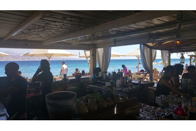 וילה איטליה - החצר והסביבה