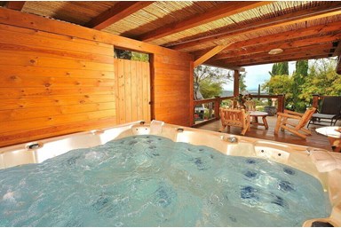 וילה שוויצריה בגליל - וילת הספא