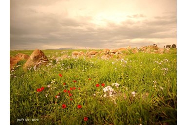 וילה בגב ההר