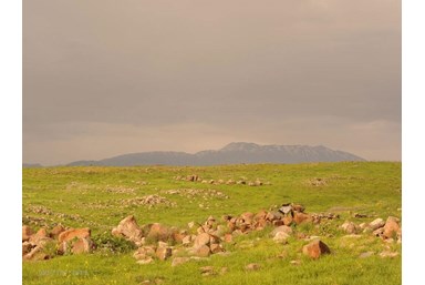 וילה בגב ההר - חצר הוילה