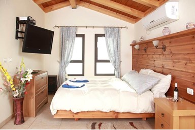 וילה בגב ההר