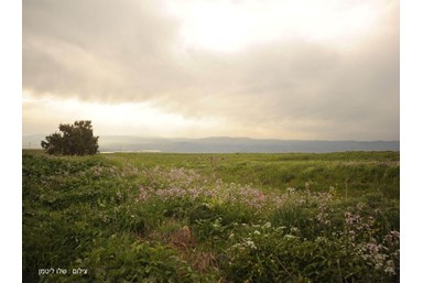 וילה בגב ההר - חצר הוילה