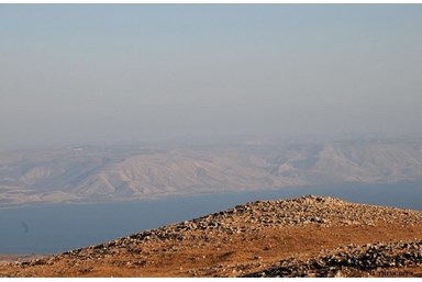 וילה דאלי - החצר והבריכה