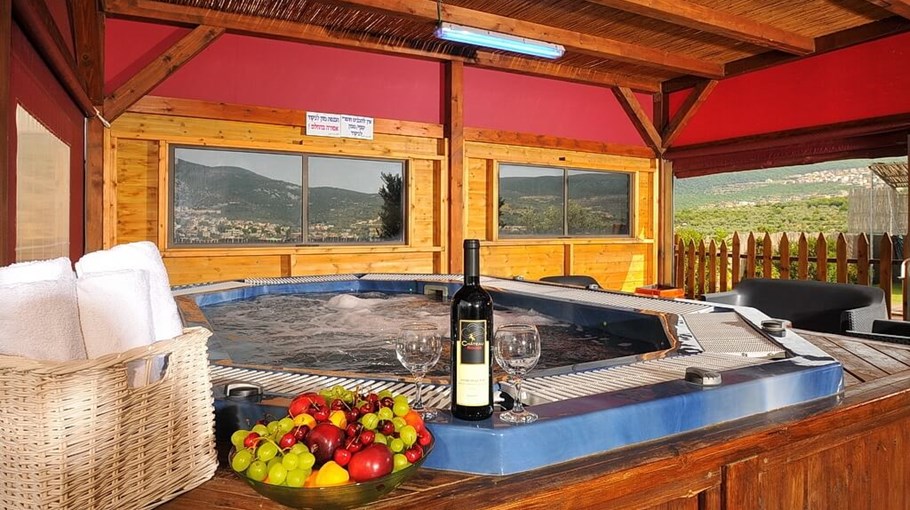 וילה ניו יורק חצר ובריכה (15).JPG