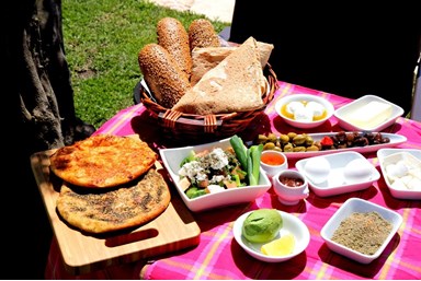 וילה עדי הכרמל - מתחם החוץ והבריכה