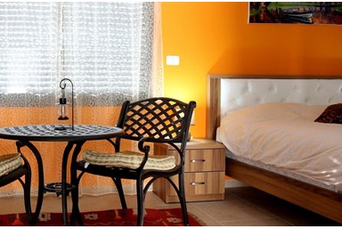 וילה עדי הכרמל - הוילה