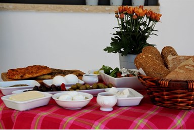 וילה עדי הכרמל - הוילה