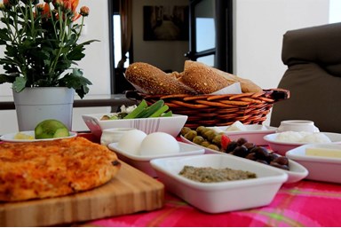 וילה עדי הכרמל - הוילה