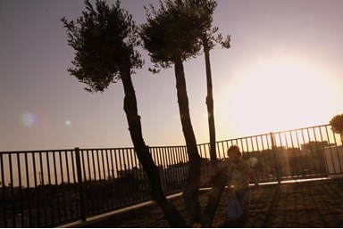 וילה עדי הכרמל - מתחם החוץ והבריכה