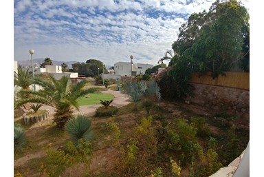 וילה קאזה בלאנקה - הבריכה והחצר