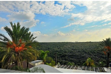 וילה הוילה באחוזה - הבריכה והחצר