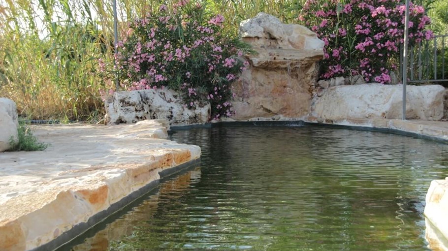 וילה בין חרוב לזית בריכה (15).JPG