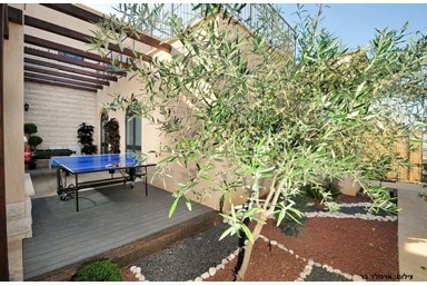 וילה שירת הירדן - החצר והבריכה