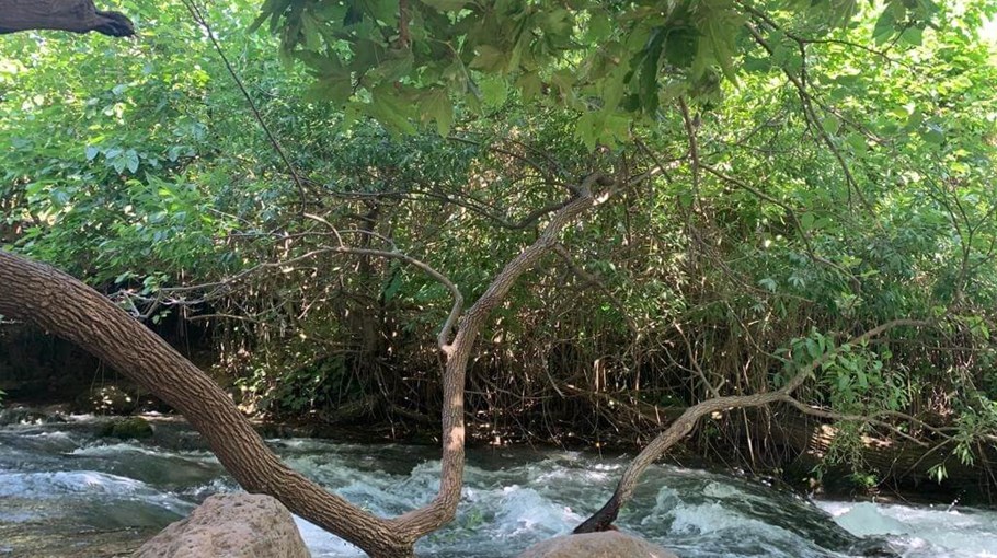 וילה אורחן חוויה נוף (2).jpg