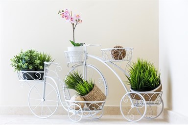 וילה אחוזת המדבר - וילה גוונים