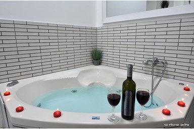 וילה אגם בגליל - הוילה