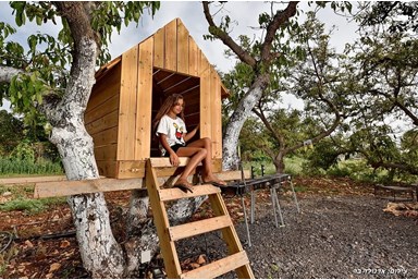 וילה אגם בגליל - החצר והבריכה