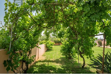 וילה H - הוילה 