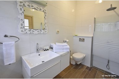 וילה מצפה המושבה - מתחם הפנים