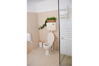 וילה ויליז'ן