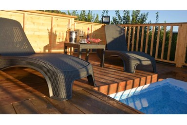 וילה ויליז'ן