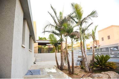 וילה שלהבת האושר - החצר והסביבה