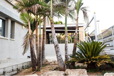 וילה שלהבת האושר