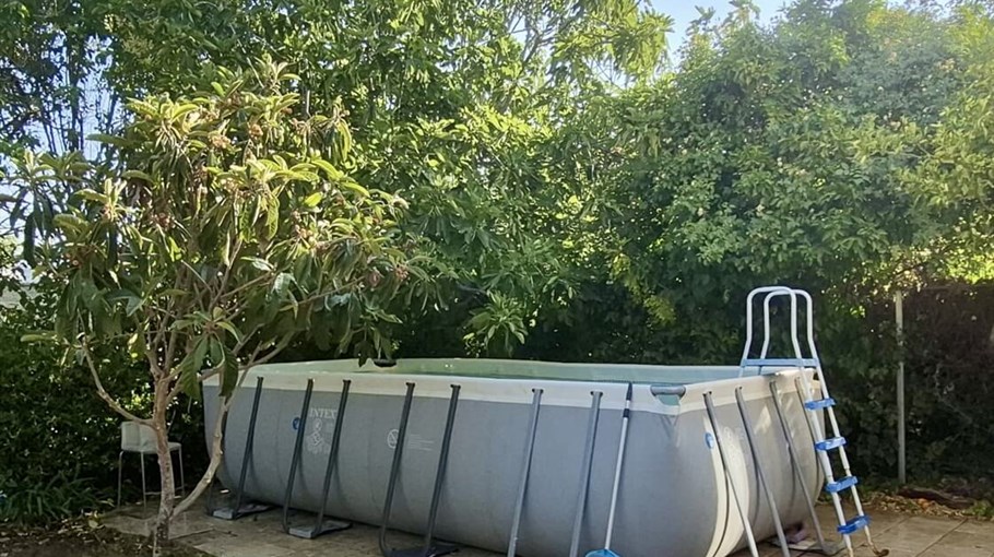 חורשה בארץ יהודה - Ezion Grove IMG_0200.jpeg