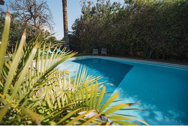 וילה מול תכלת - החצר והבריכה 