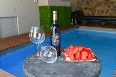 וילה מגדל דרים