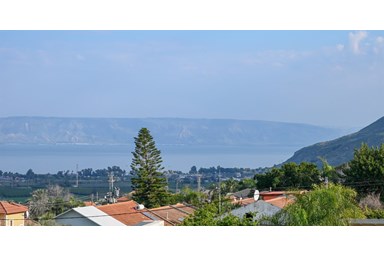 וילה מגדל דרים