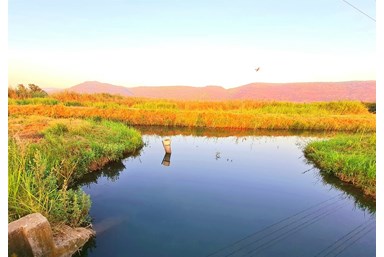 וילה הבית של אורי ועמית