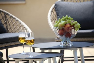 וילה פנינה במטע - החצר והסביבה