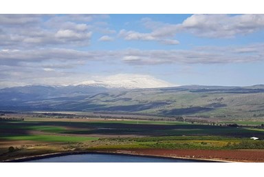 וילה ויללי - מתחם החוץ והבריכה