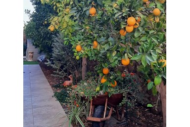 וילה ביונד - Villa Beyond