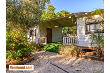 וילה בצל הגלבוע - החצר והבריכה 