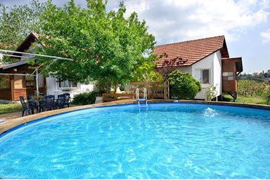 וילה בית בכרם - הבריכה 